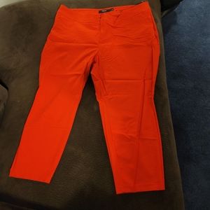 Red torrid dress pants plus size